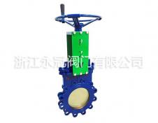 手動(dòng)偏心暗杆(gan)刀閘閥PZ43H