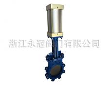 氣(qì)動刀閘閥